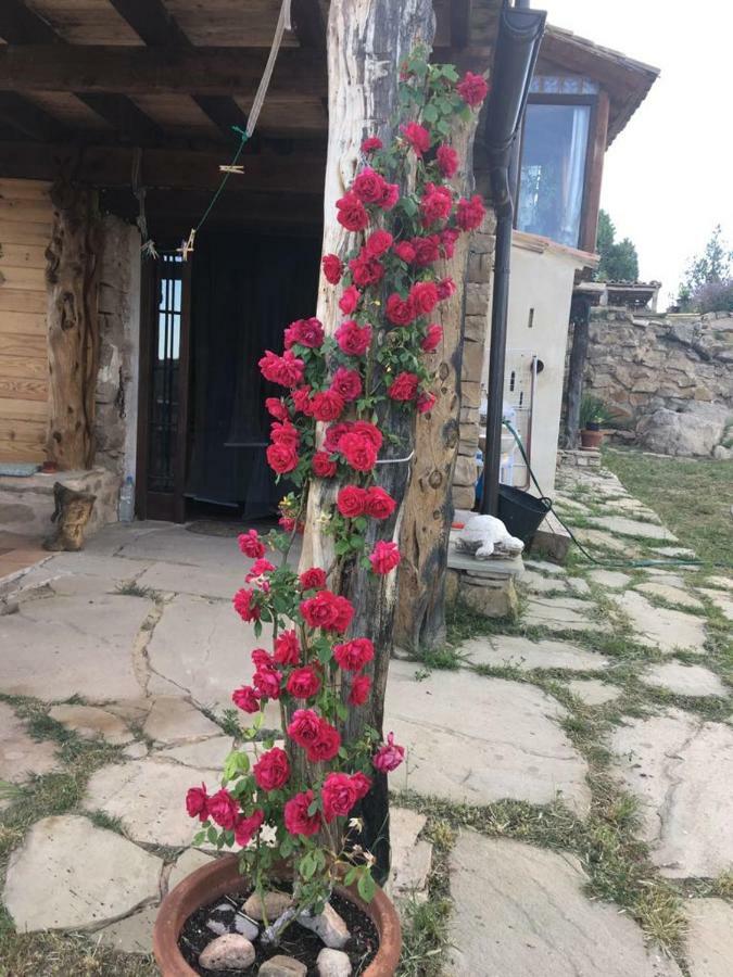 Monolocal Rural Con Encanto Valbona Ngoại thất bức ảnh